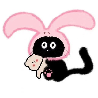 🇹🇼鹽酥雞大隊