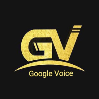 Google Voice 交流保号