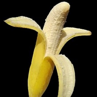 香蕉日報🍌神州男極 吹水爐