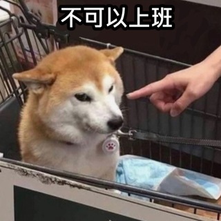 32歲(負債)全職賭錢找數