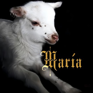 BDSM ⛓️ María 🚫